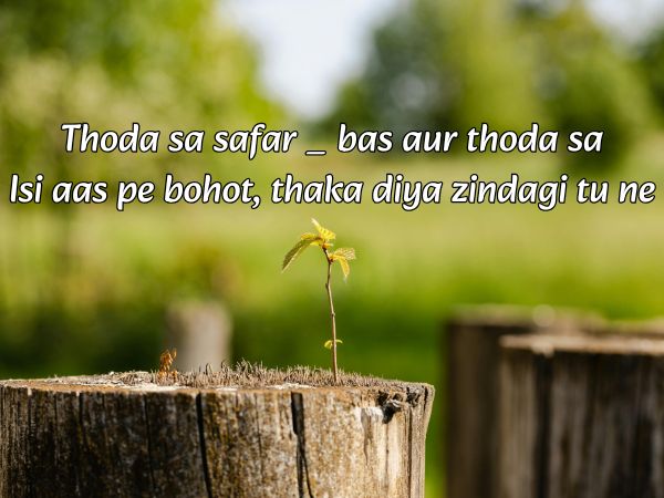 ZINDAGI SHAYARI IN ENGLISH ON LIFE
