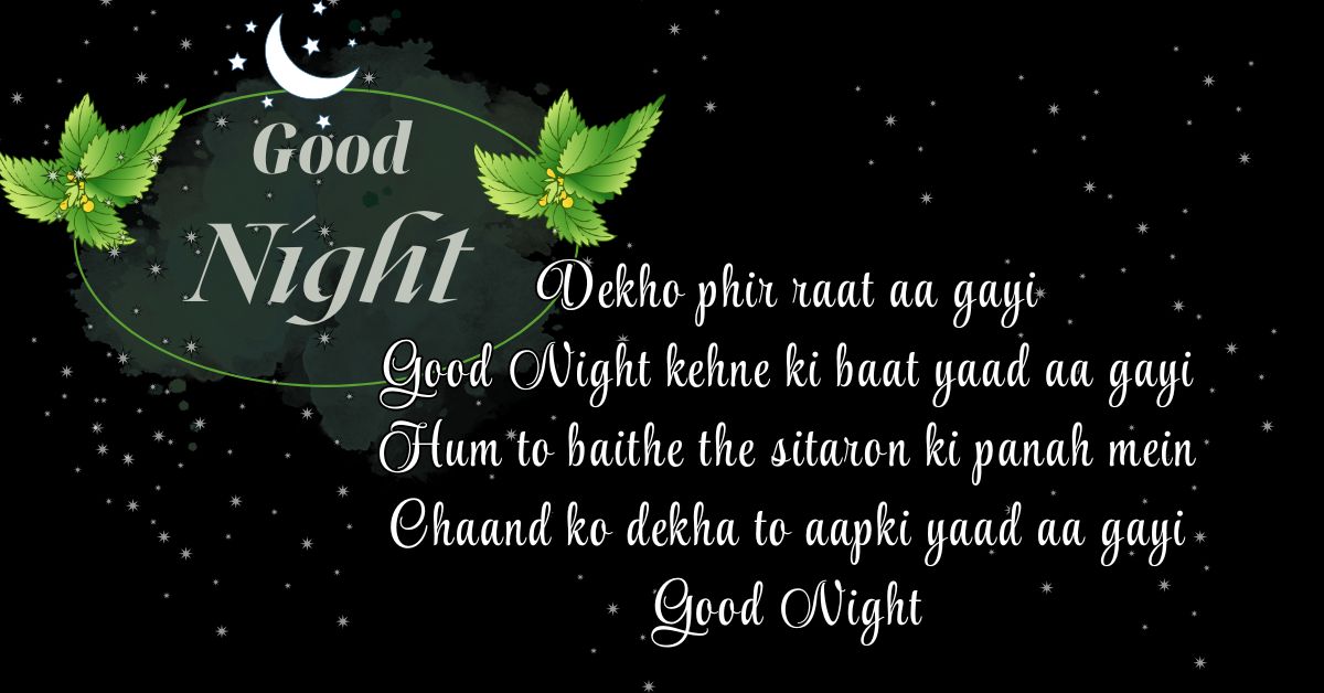 Best Good Night Shayari In English